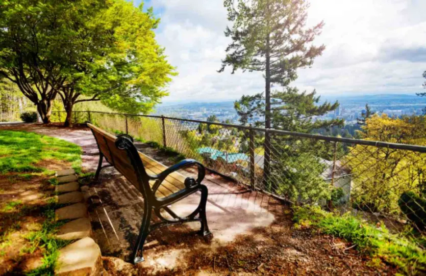 A side view of a bench in a beautiful Portland park overlooking the Willamette River.